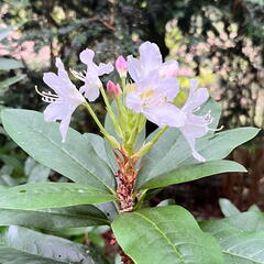 23-09-10 09-52-42 6591